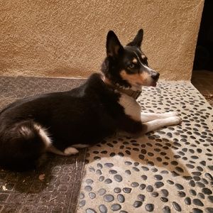 Meet your Posher, Mitch